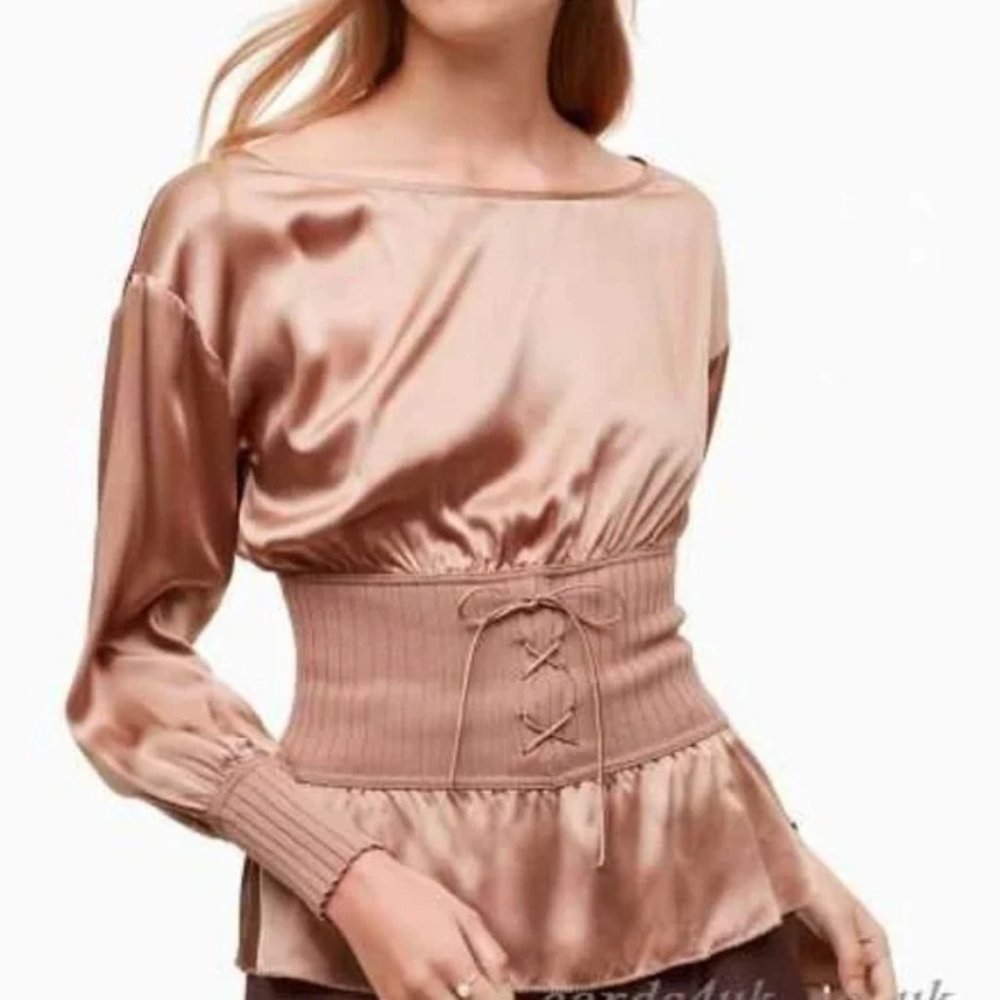 Aritzia Wilfred Le Fou Faravel 100% silk blouse